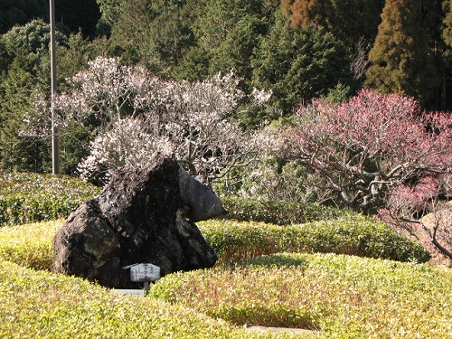 みゆき公園25