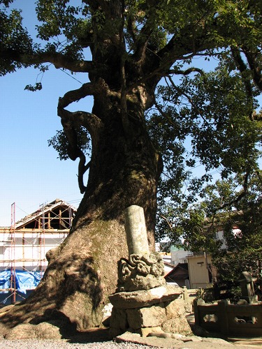 瑞光寺20