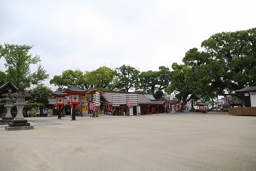 松原の大楠9