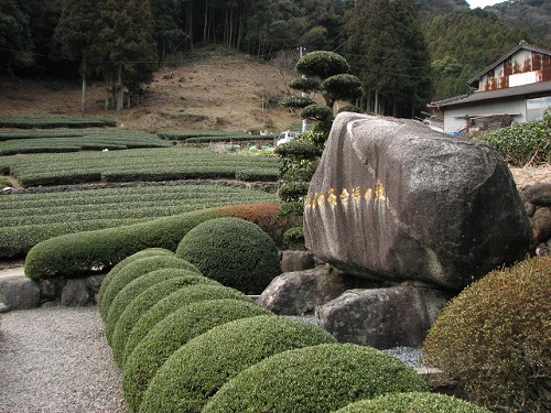 うれしの茶発祥の地2
