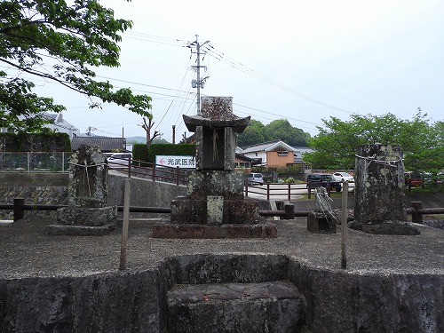 タナジ15