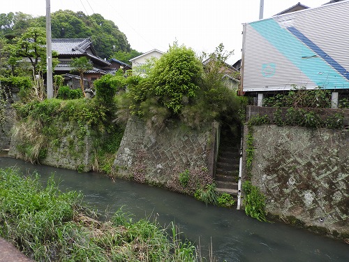 タナジ9
