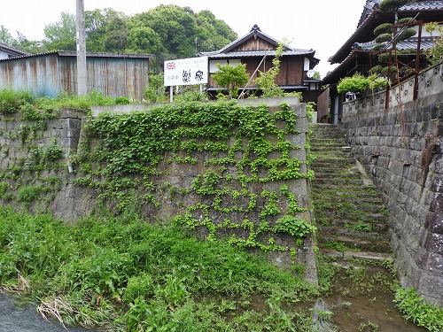 タナジ7