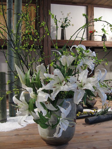 春の野の花散歩8
