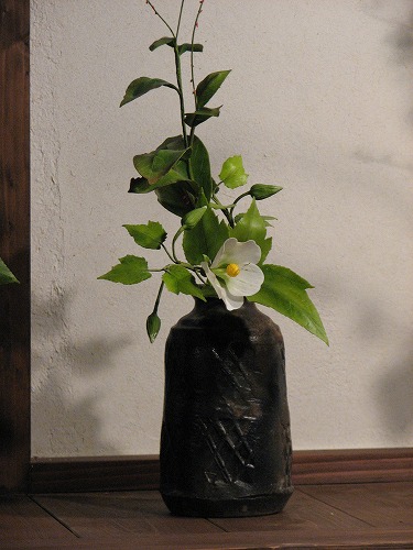 春の野の花散歩19