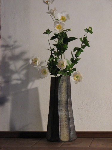 春の野の花散歩21
