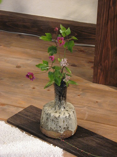 春の野の花散歩23