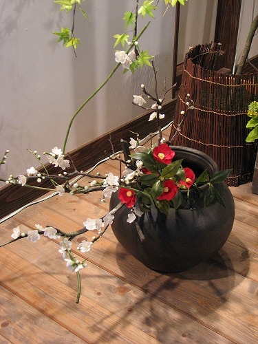 春の野の花散歩25