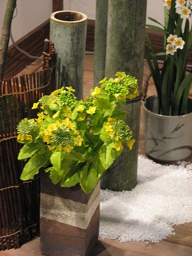 春の野の花散歩26