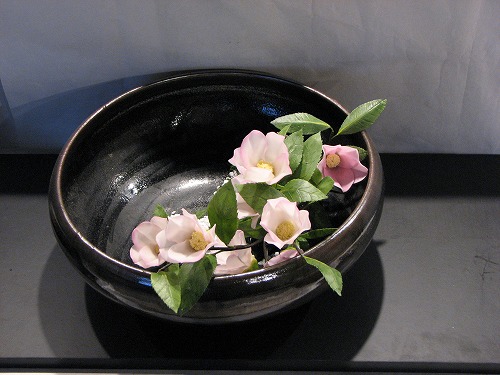 春の野の花散歩2