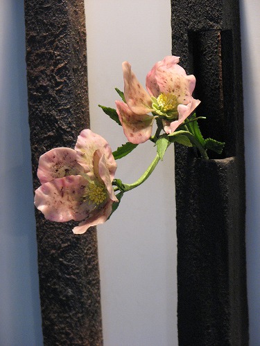 春の野の花散歩30