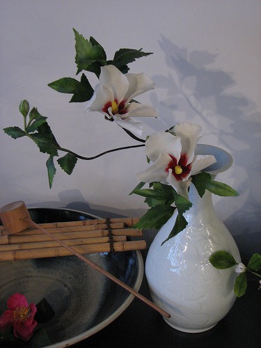 春の野の花散歩33