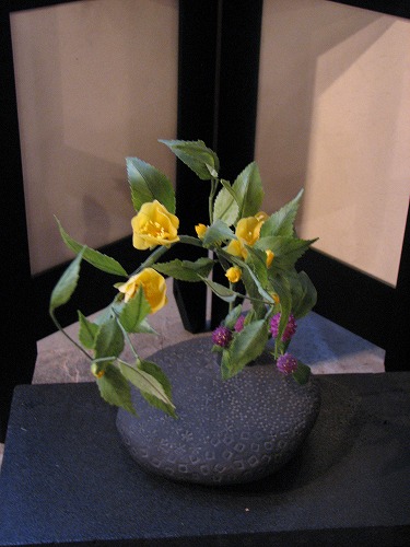 春の野の花散歩35