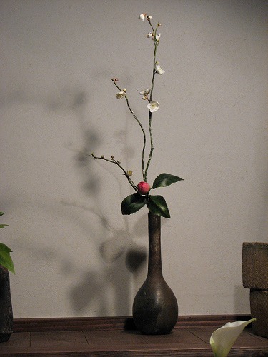 春の野の花散歩38