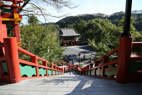 祐徳稲荷神社17
