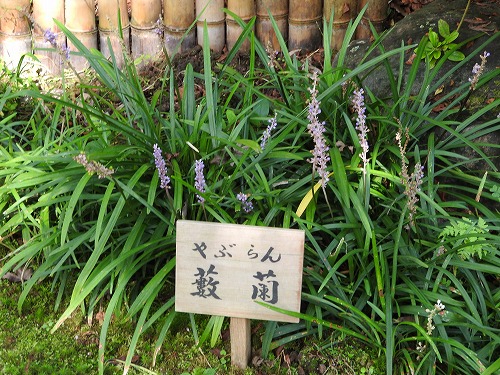 祐徳稲荷14