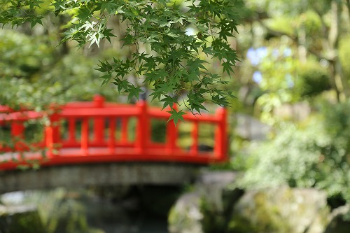 祐徳稲荷16