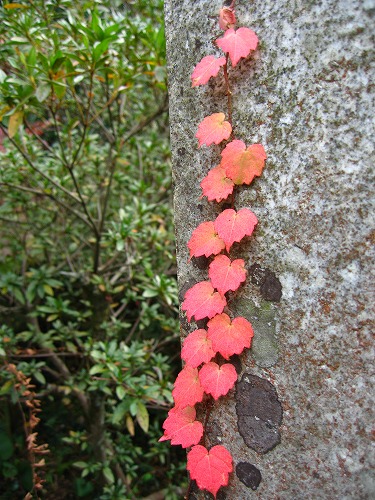 陶山神社15