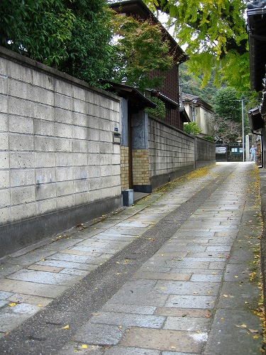 有田大公孫樹11