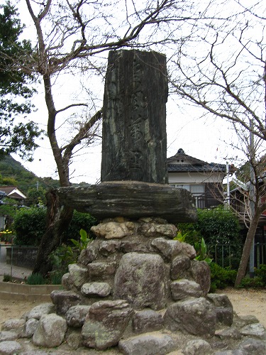 有田大公孫樹15