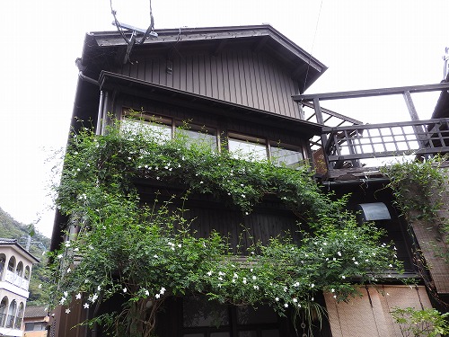 有田19