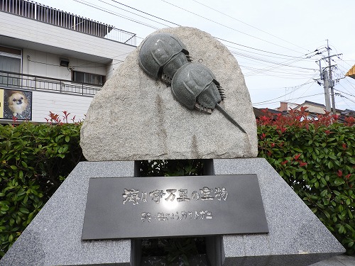 伊万里駅8