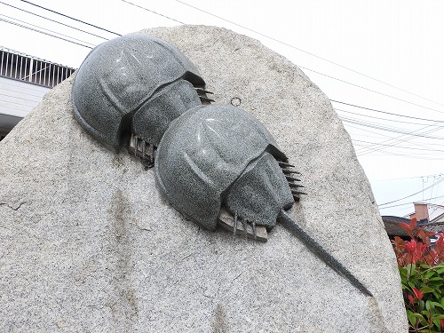 伊万里駅9