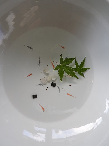 鍋島御庭焼7