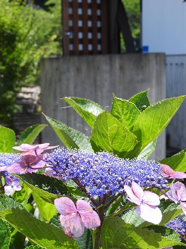 鍋島藩窯公園1