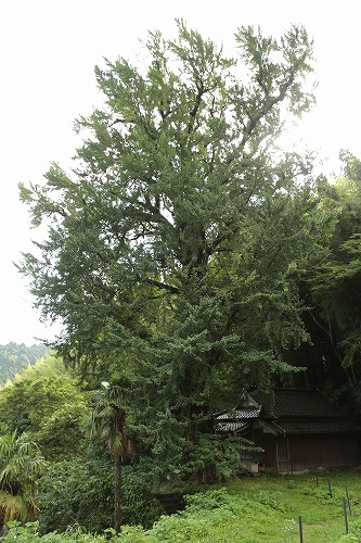 藩窯御細工屋敷跡4