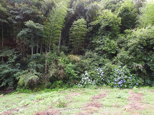 藩窯御細工屋敷跡6
