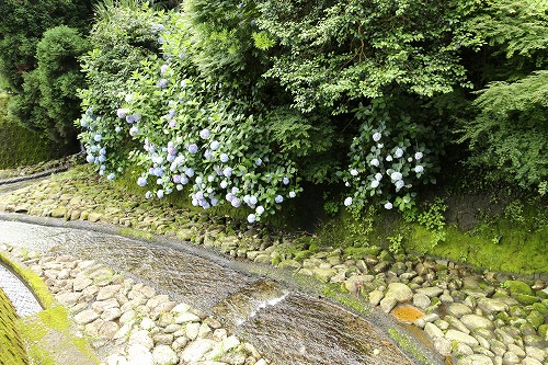 陶板12