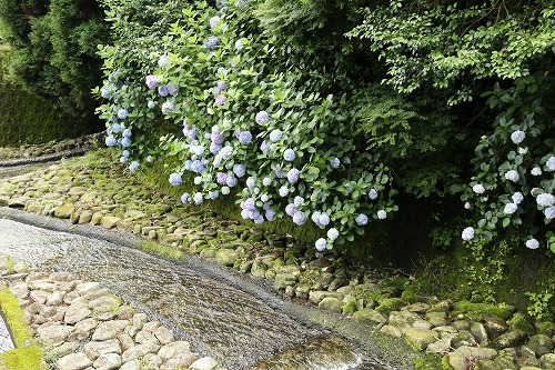 陶板13