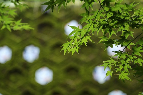 陶板10