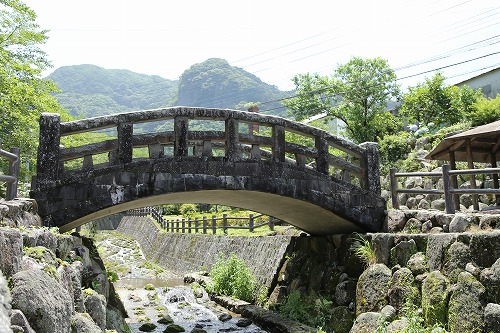 陶祖橋3