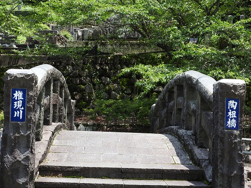 陶祖橋5