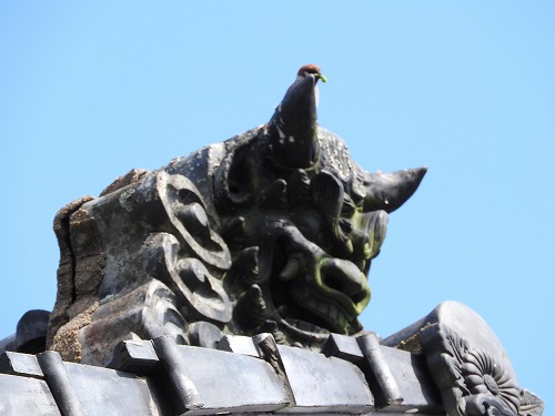 鬼瓦とすずめ2