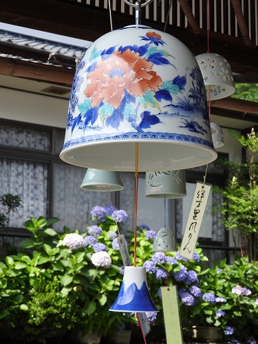 紫陽花29