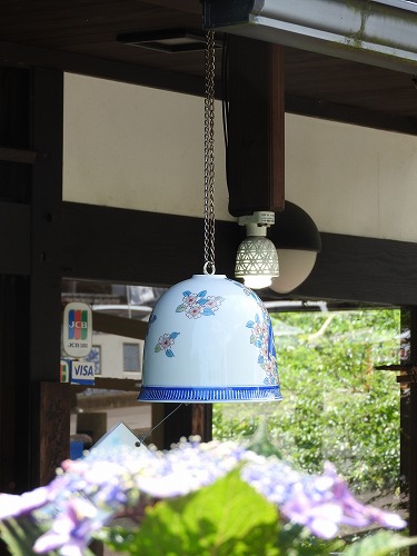 紫陽花33
