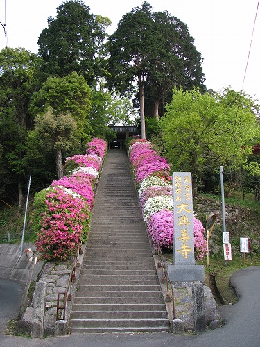 つつじ寺1