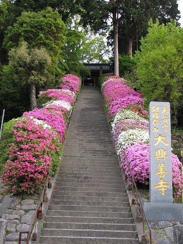 つつじ寺2