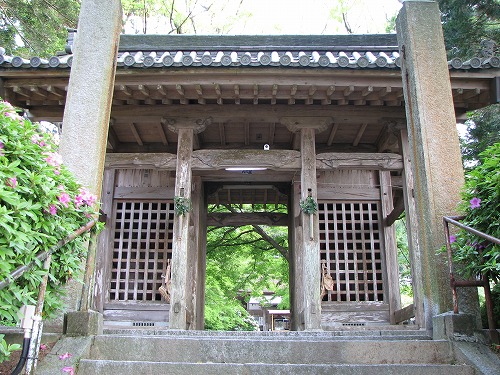 つつじ寺5