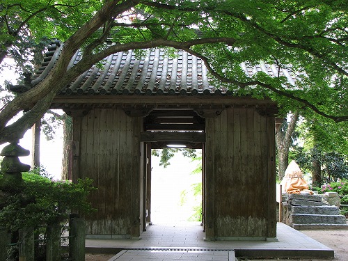 つつじ寺6