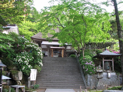 つつじ寺7