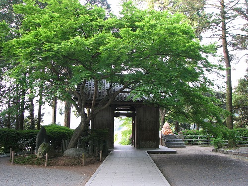 つつじ寺8