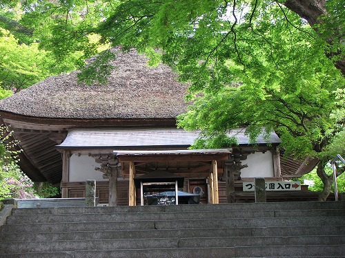 つつじ寺9