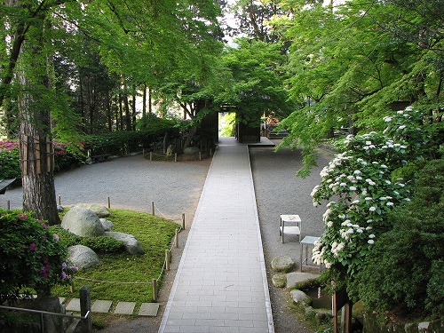 つつじ寺10