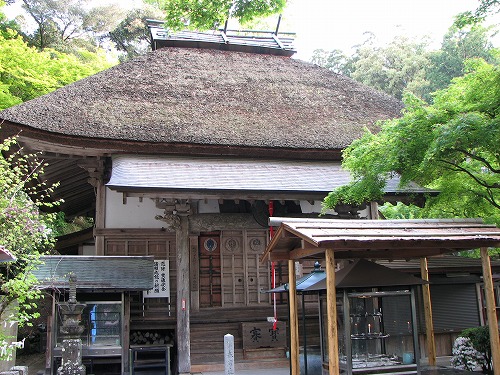 つつじ寺12