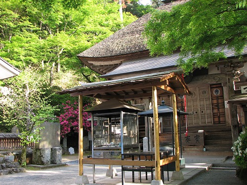 つつじ寺19
