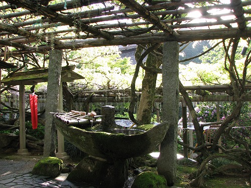 つつじ寺39